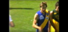 west torrens sponsor.png