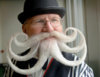 octopus-moustache.jpg