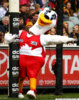 o-SYDNEY-SWANS-MASCOT-570.jpg