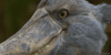 48F00D8A-A6BF-4012-B582-055E26F78AAE.gif