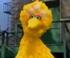 [w.youtube.com] Big Bird's Games.jpg