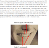 1548118777539.png