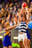 Jack+Henry+AFL+Rd+3+West+Coast+v+Geelong+NIb_rvtwkDZl.jpg
