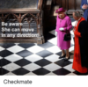 be-aware-she-can-move-in-any-direction-checkmate-37984632.png
