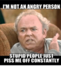im-not-an-angry-person-stupid-people-just-piss-me-24595961.png