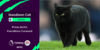 goodison cat.png