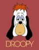 droopy.jpg