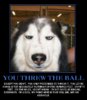You only pretended to throw the ball.jpg