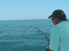 8C68FC92-8941-4406-95D1-98464FAA5AF0.gif