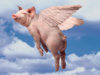 pigs flying pics.jpg