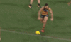 Crows[20180804] Port Q4 8'20.gif