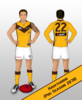Hawthorn - 2019 Pre-Season.png
