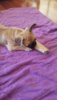 20190317_092802.jpeg