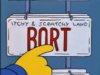 bort.jpg