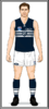 Geelong-Uniform1998A.png