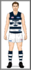Geelong-Uniform2004A.png