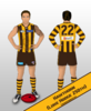 Hawthorn - Luke Hodge 250th.png