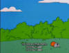 6F8F1838-6993-43A6-BA42-BB32DEC41256.gif
