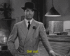 giphy (1).gif