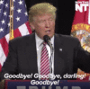 giphy (8).gif