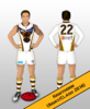 Hawthorn - 2014 Away-Clash.png