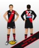Essendon - Round 11 2013.png