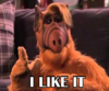 ALF - I LIKE IE.png