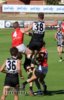 2019 Rd3 Magpies v Roosters Pics 029.JPG