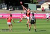 2019 Rd3 Magpies v Roosters Pics 038.JPG