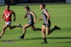 2019 Rd3 Magpies v Roosters Pics 062.JPG