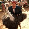 Ostrich.jpg