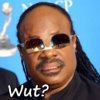 Stevie Wonder - Wut.jpg