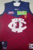 2016 Brisbane Lions Hall of Fame Player Issue #39 Rd 14 vs Richmond.jpg