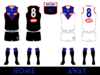 perth royals display copy.png