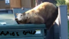 1555977919615.png