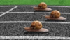 1555989700644.png