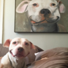PUPPY.png