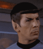 sdff-1.gif