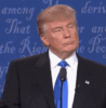 donald wrong.gif