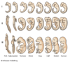 74623d304a610fc4e1edae883ff902d2.png