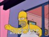 1003952.jpg