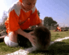 giphy (1).gif