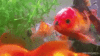 367A036C-7766-4B81-9DB0-1E000598B8BA.gif