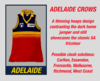 90's-AFL-Clash-Jumper-Articles---Adelaide.png