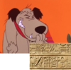 1558499527520.png