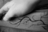 veins.gif