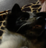 1560264121474.png