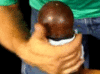 BDD143AC-36B8-4D48-ADAA-D053143CF3ED.gif