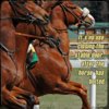 stable-door-horse-racing-meme.jpg