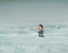 swan-whale.gif